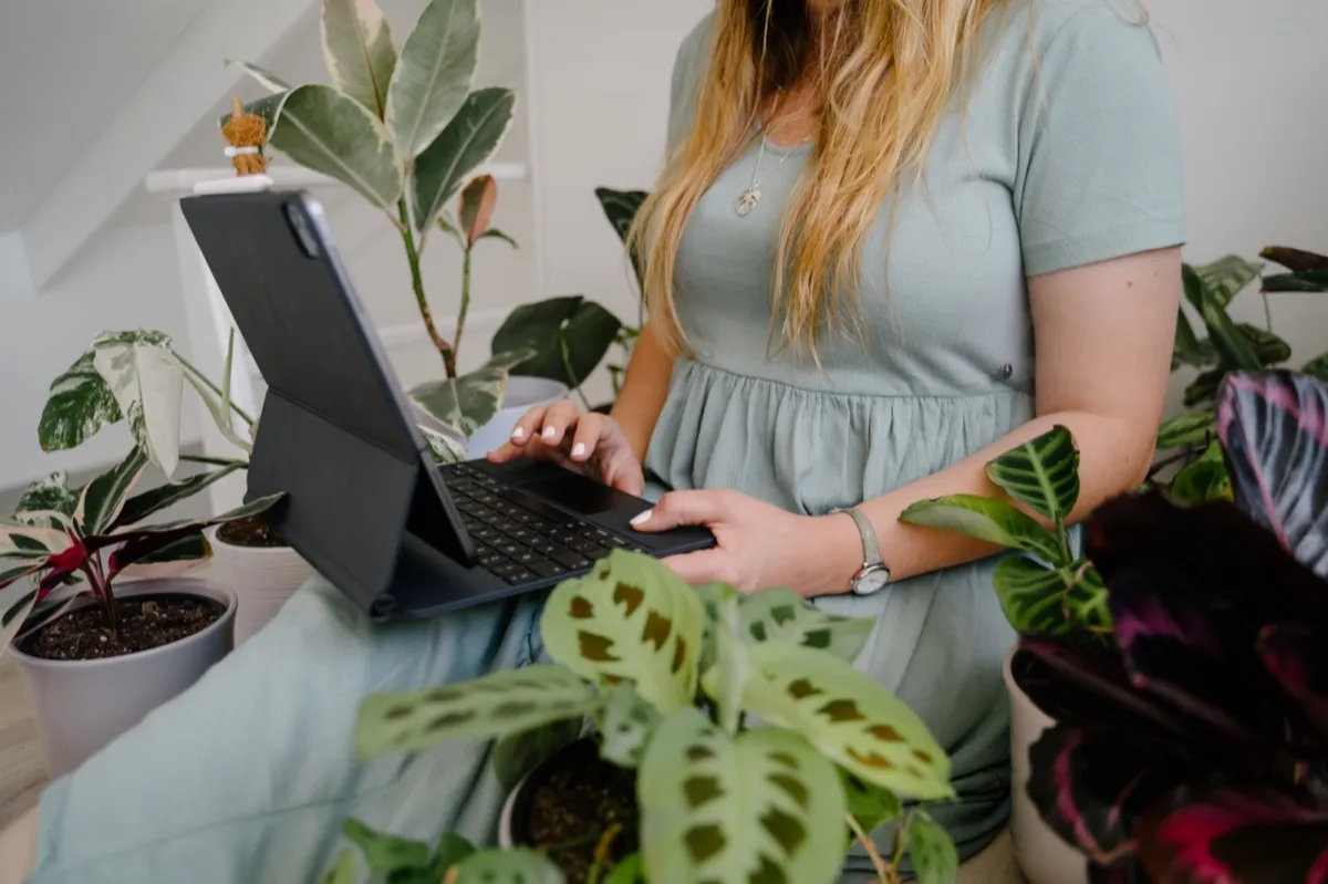 Brittany working among her houseplants