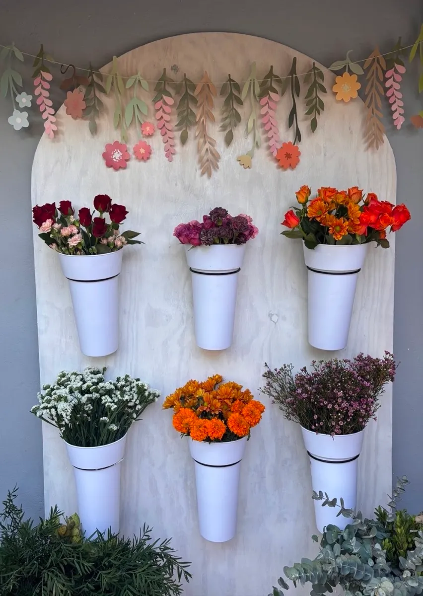 A Mamma's Plants workshop