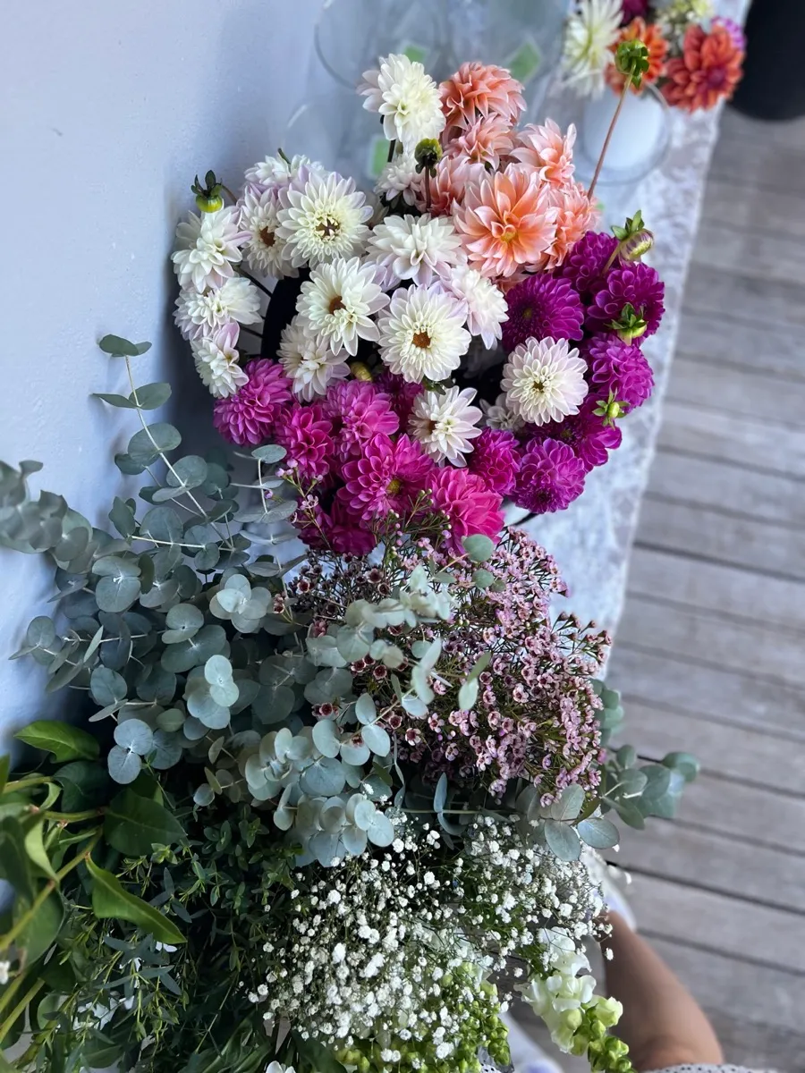 A Mamma's Plants workshop