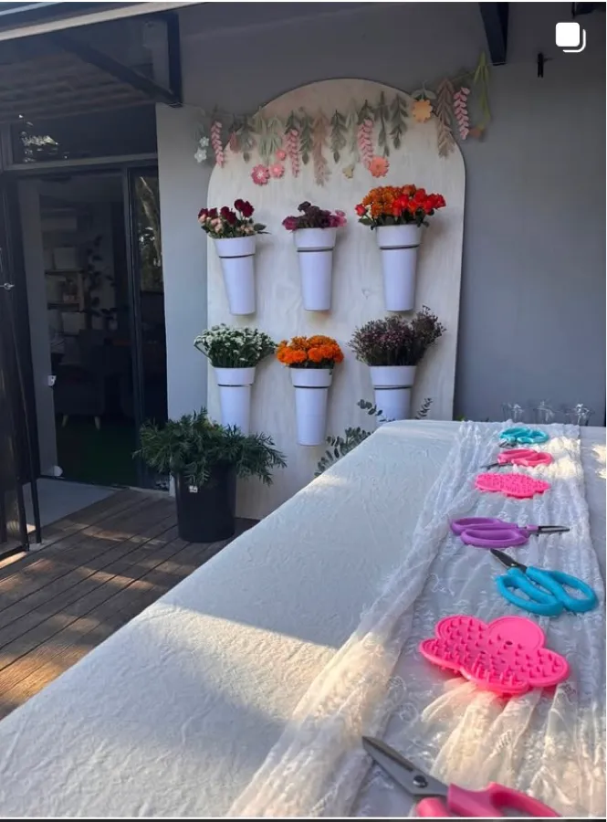 Mamma's Plants on Instagram