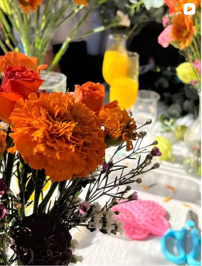 Mamma's Plants on Instagram
