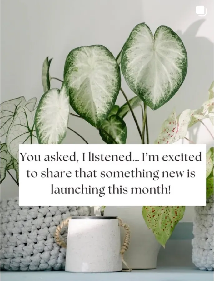 Mamma's Plants on Instagram