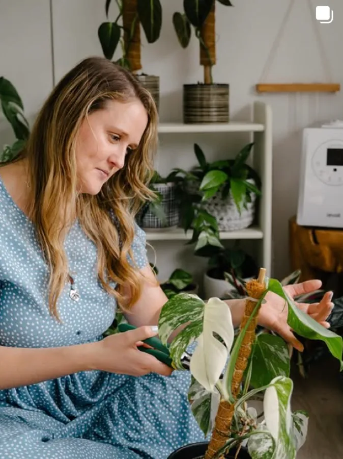 Mamma's Plants on Instagram