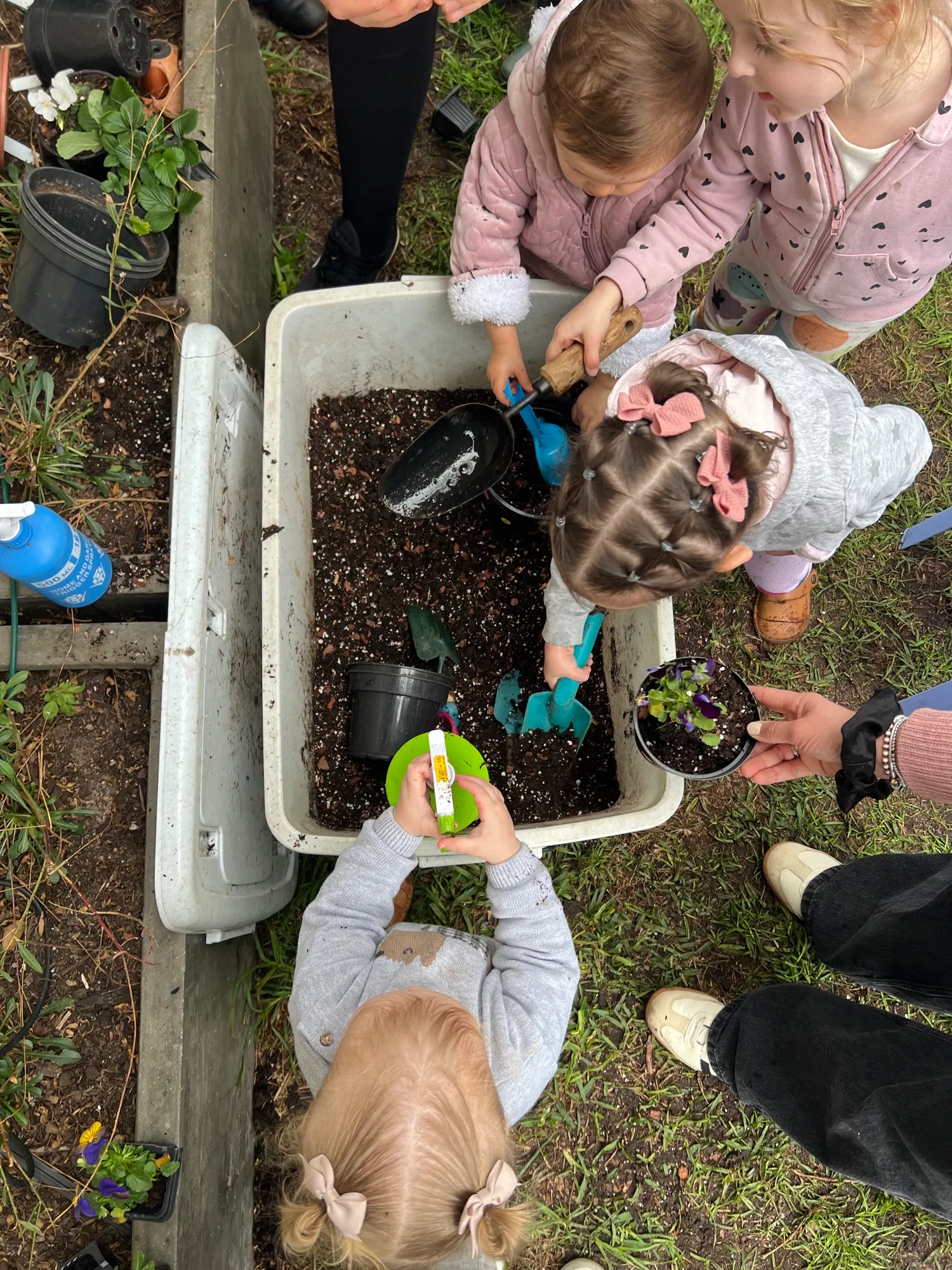 A small group of toddlers potting plants around a soil tub with a grown-up at an outdoor Mommy and Me workshop