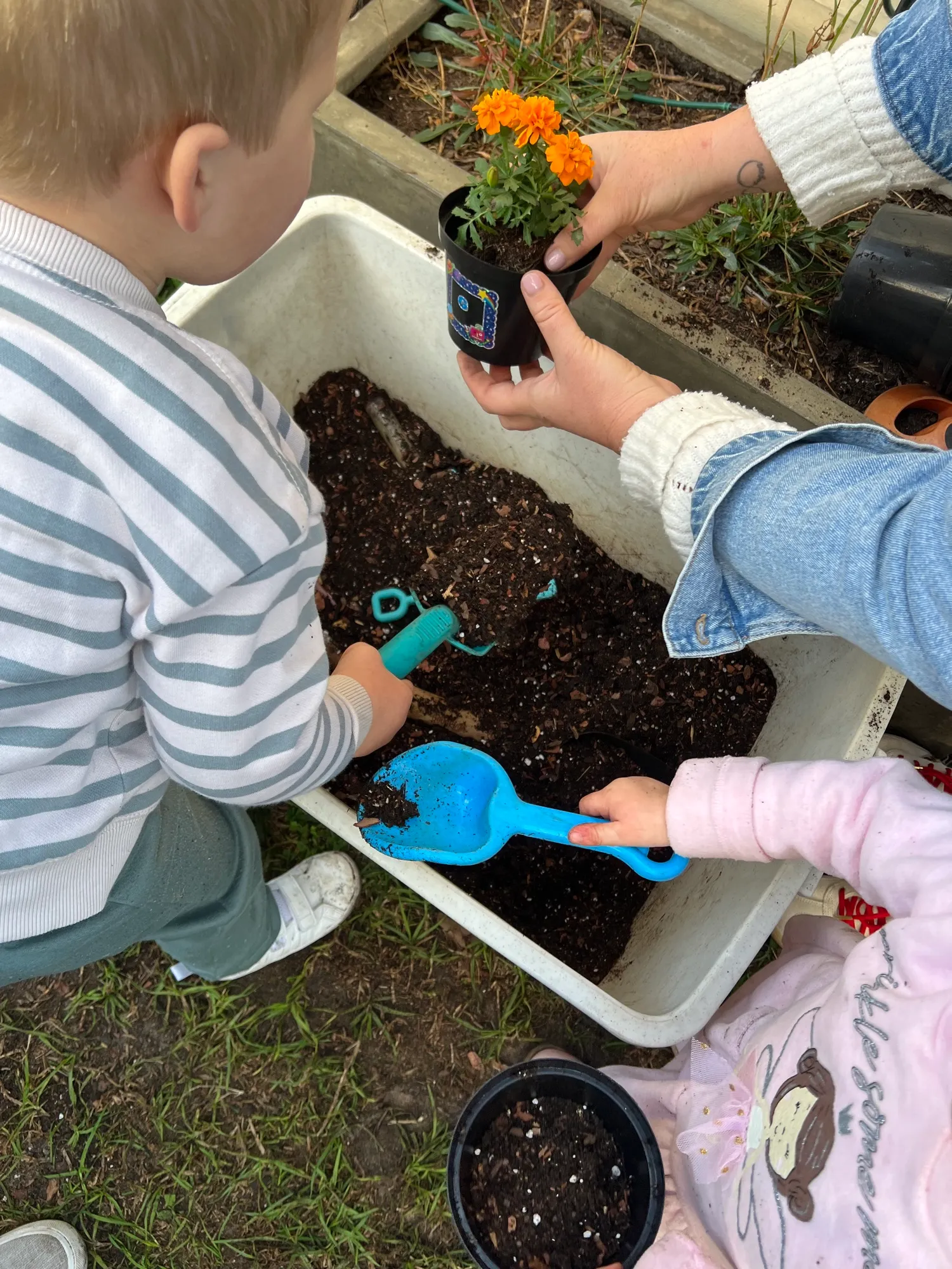 Toddlers and a grown-up scooping soil from a tub together at an outdoor Mommy and Me potting workshop in Cape Town